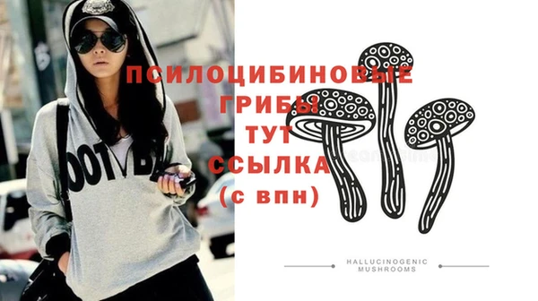 первитин Абинск