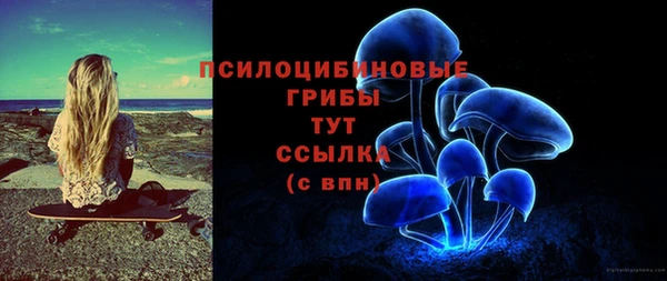 первитин Абинск
